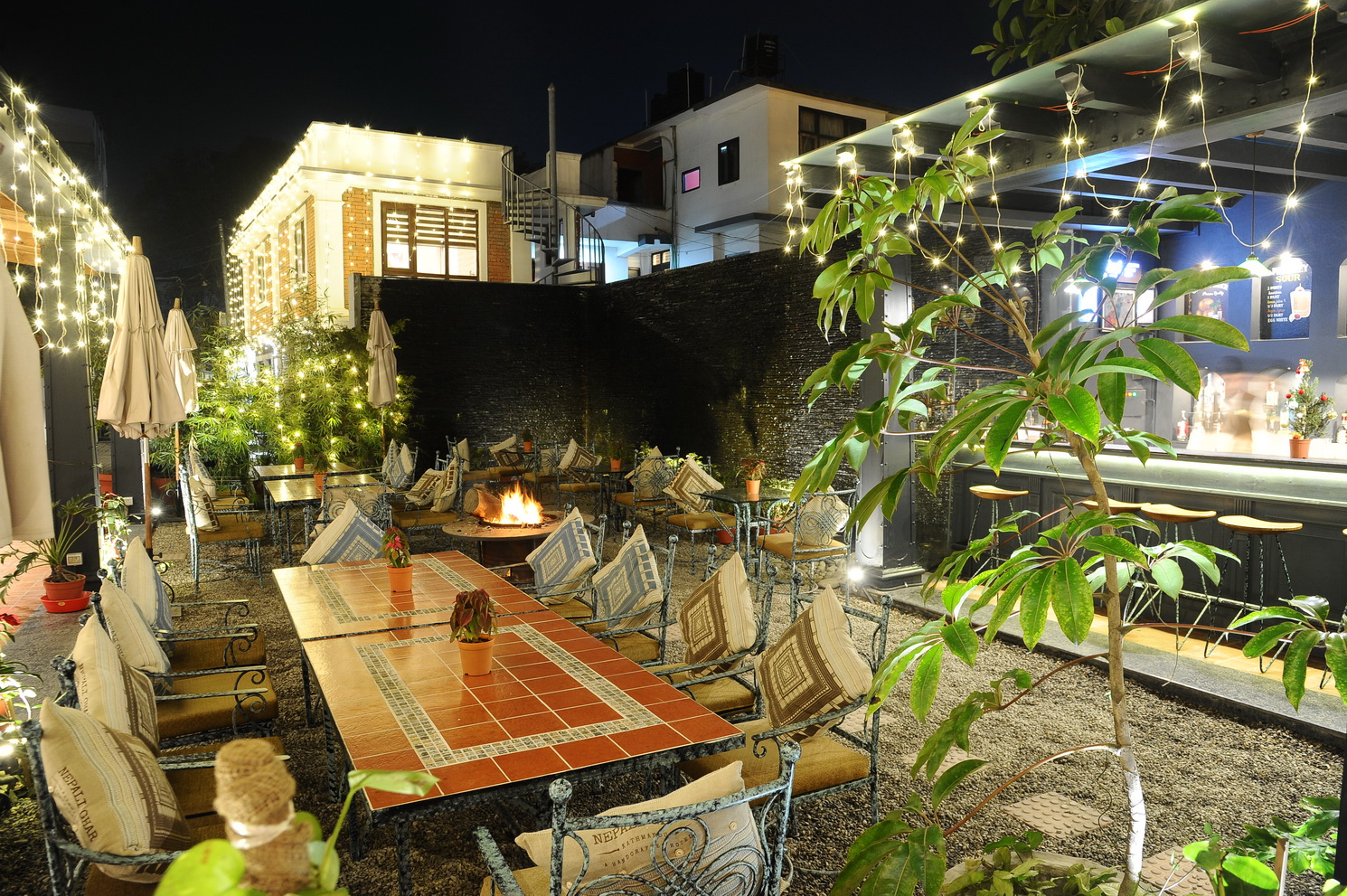 The front courtyard garden with tropical plants and flowers